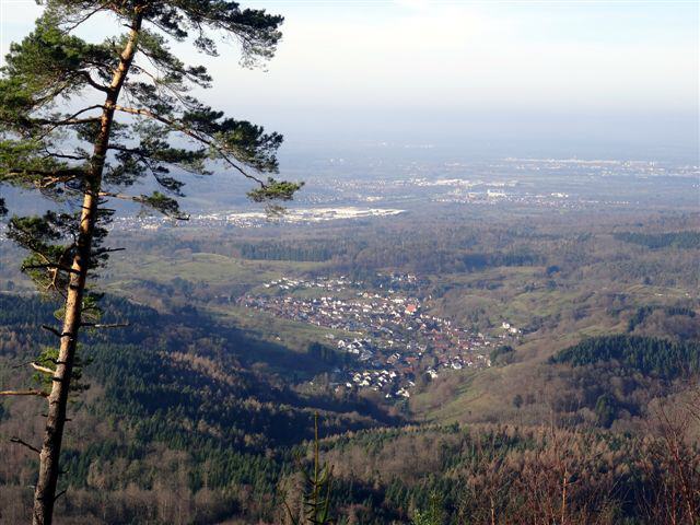 Das Flugzeug kam aus der Rheinebene,